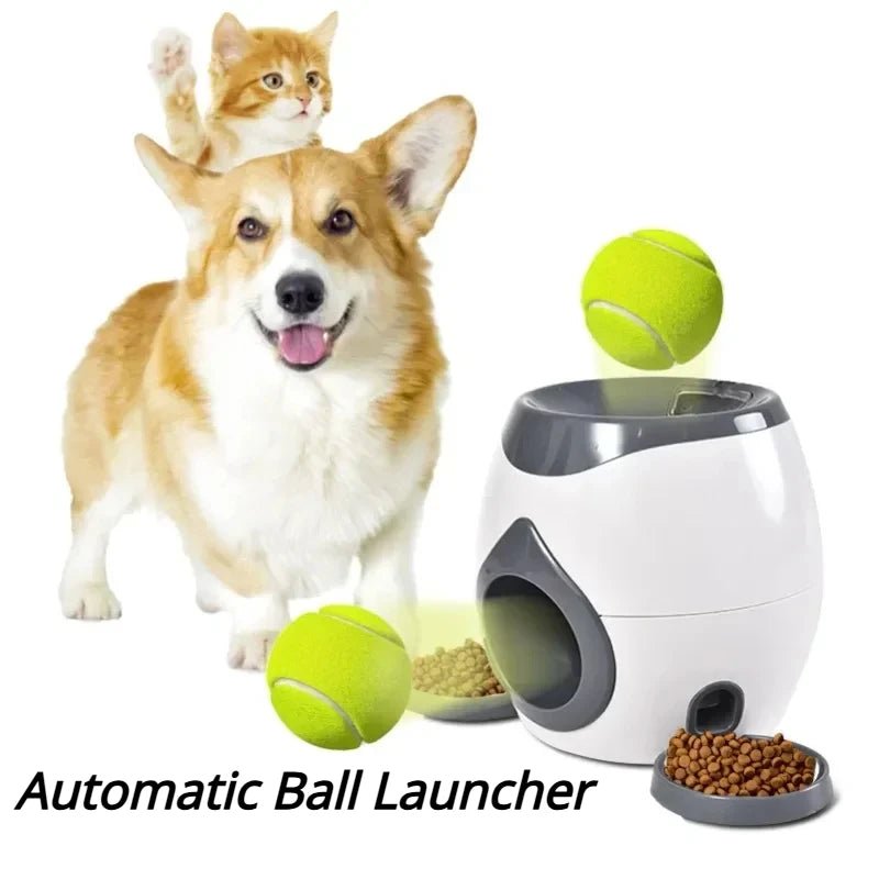 Automatic Ball Launcher