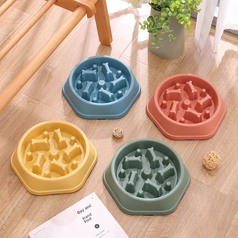 Bone-shaped food bowl