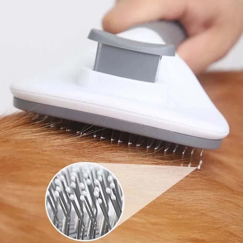 Pets Brush